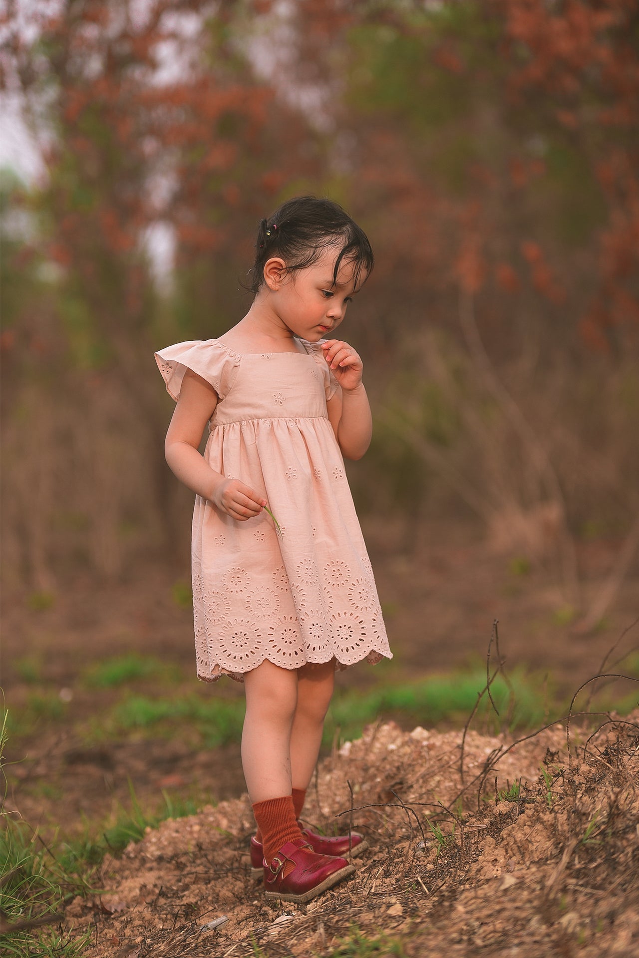 Embroidered Cotton Dress and Bloomers Set