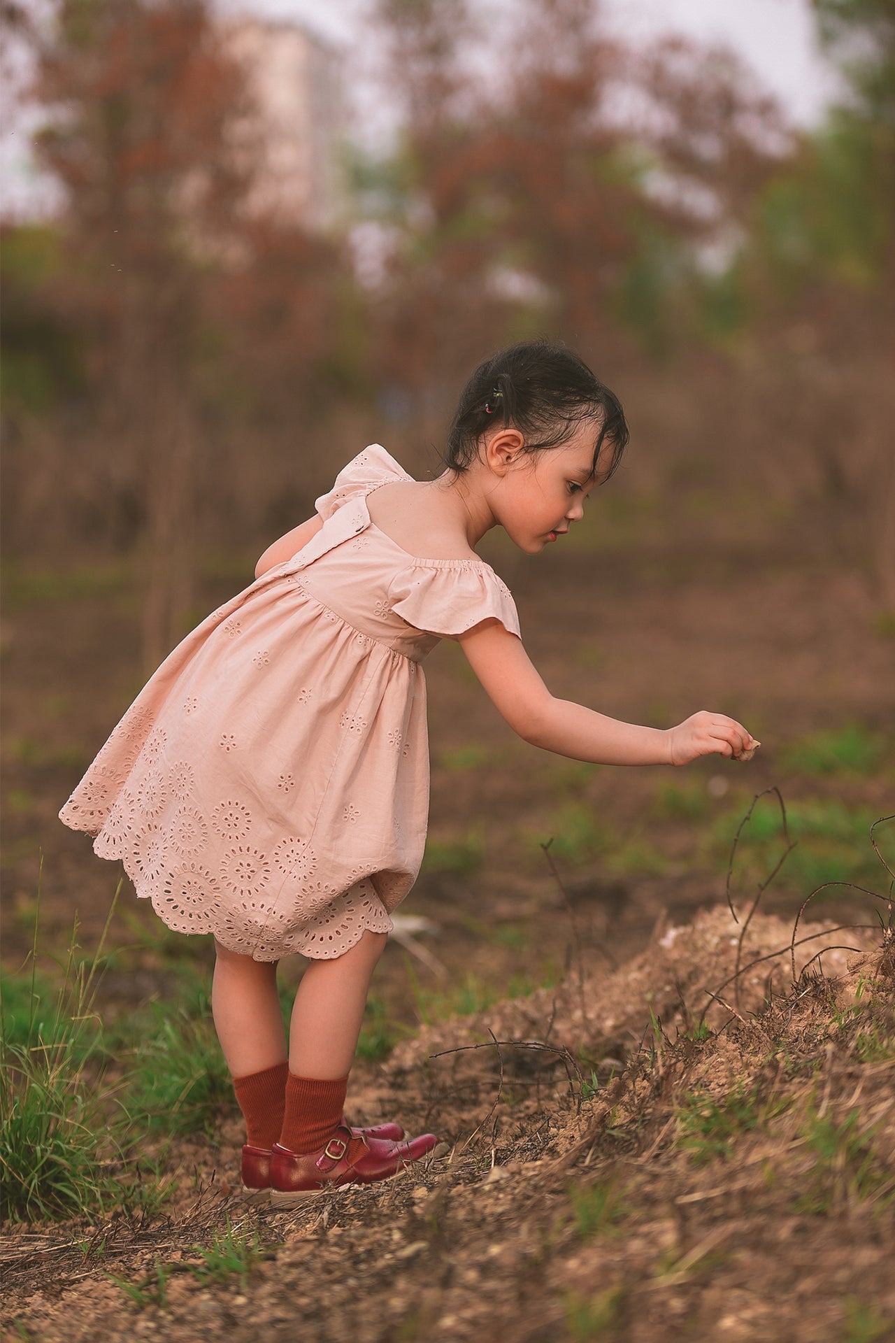 Embroidered Cotton Dress and Bloomers Set